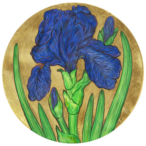 Zlatý iris